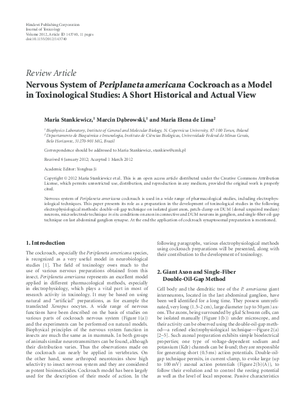 Cockroach lifespan image