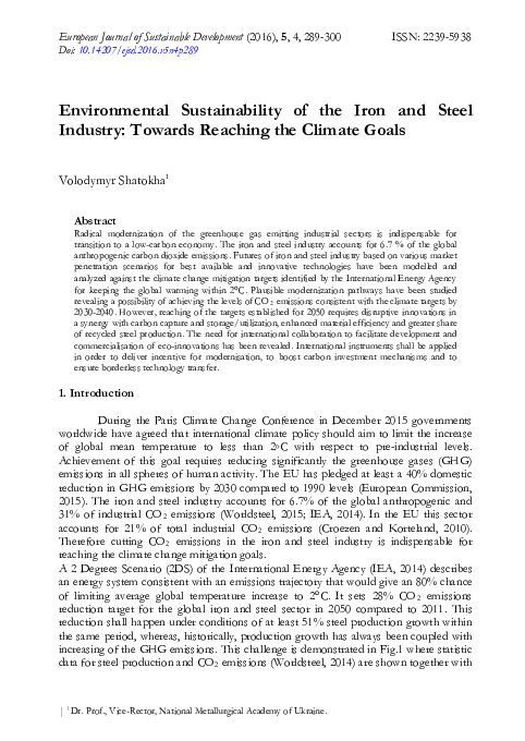 (PDF) Environmental Sustainability of the Iron and Steel Industry ...