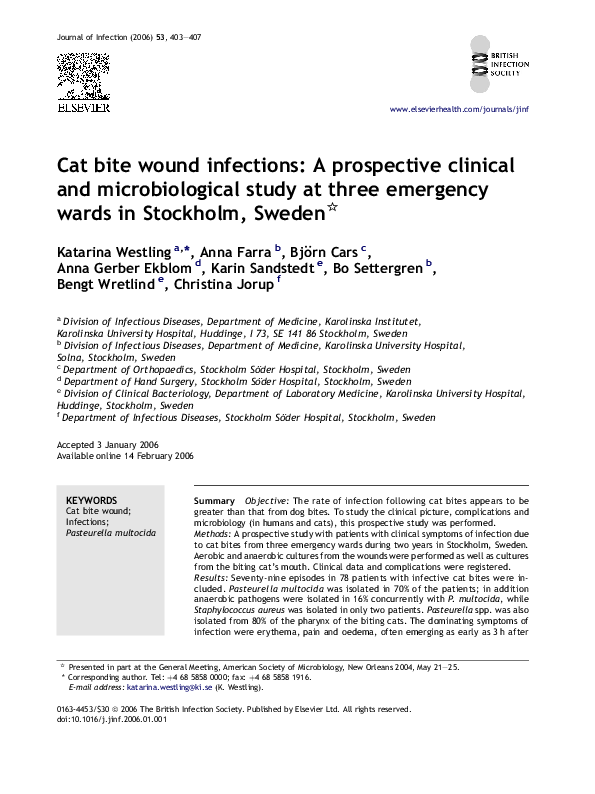 (PDF) Cat bite wound infections A prospective clinical and