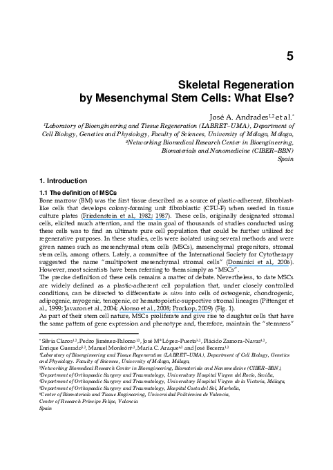 (PDF) Skeletal Regeneration by Mesenchymal Stem Cells: What Else?