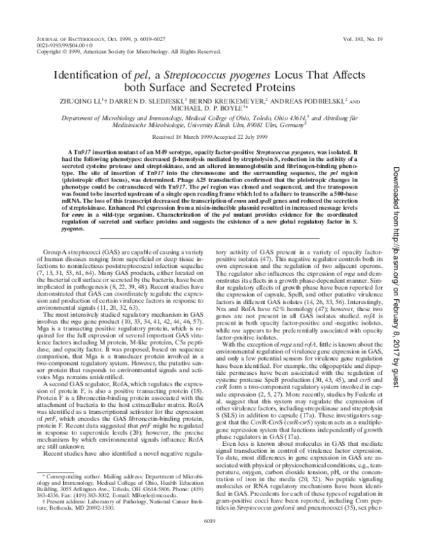 (PDF) Identification of pel, a Streptococcus pyogenes locus that ...