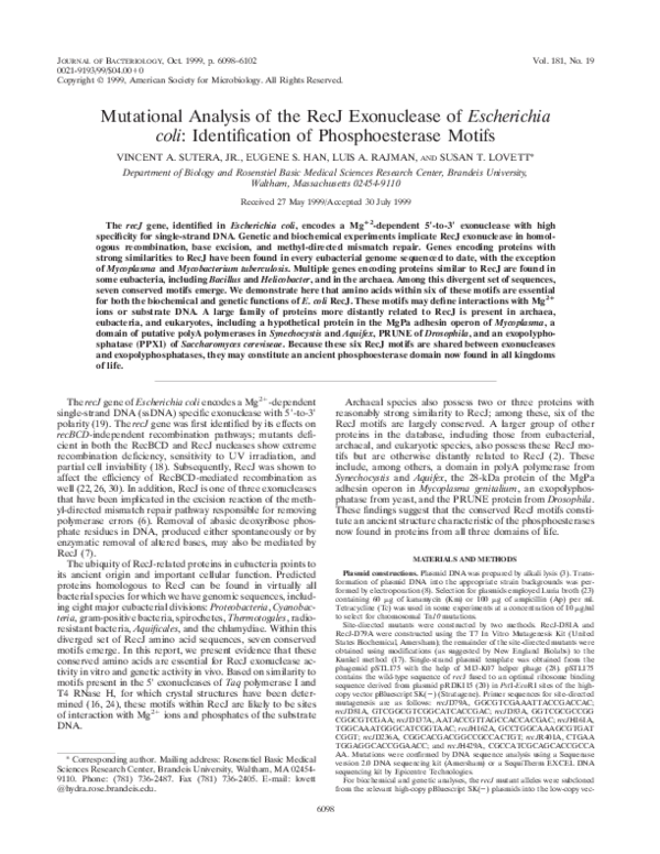 (PDF) Mutational analysis of the RecJ exonuclease of Escherichia coli ...