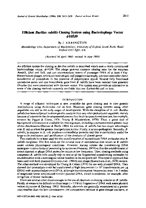 Bacillus subtilis essay picture