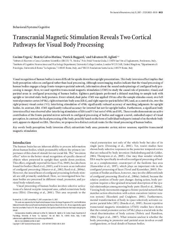 (PDF) Transcranial Magnetic Stimulation Reveals Two Cortical Pathways ...