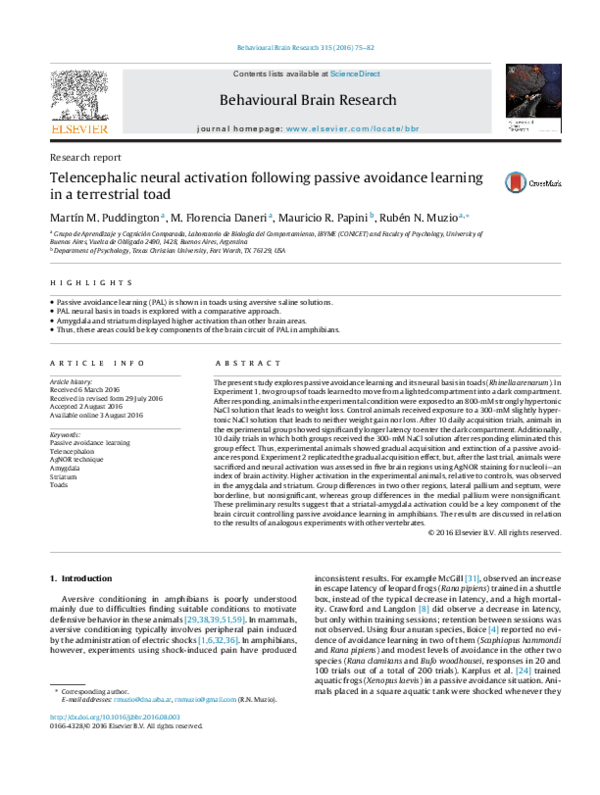 (PDF) Telencephalic neural activation following passive avoidance ...
