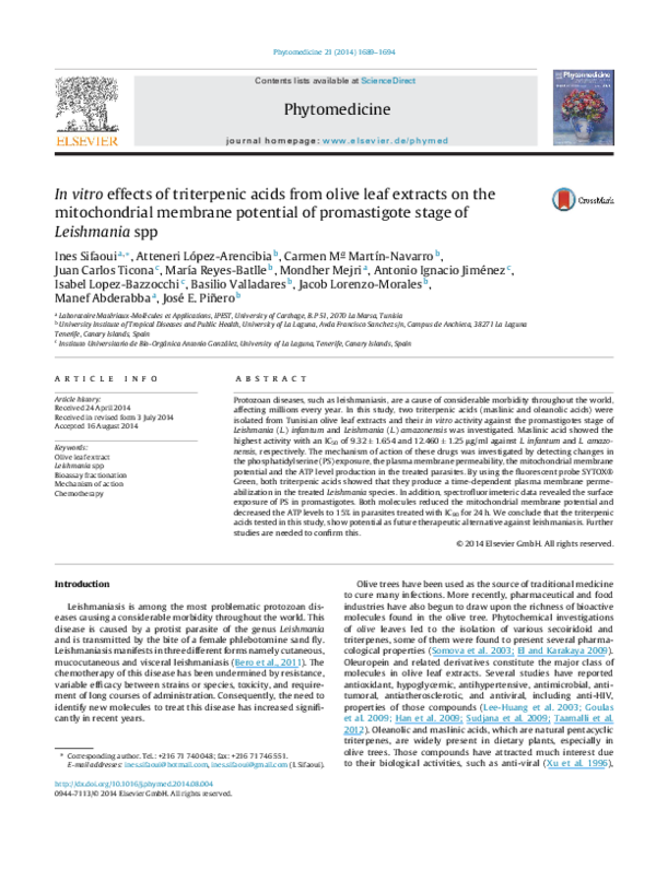 (PDF) In vitro effects of triterpenic acids from olive leaf extracts on