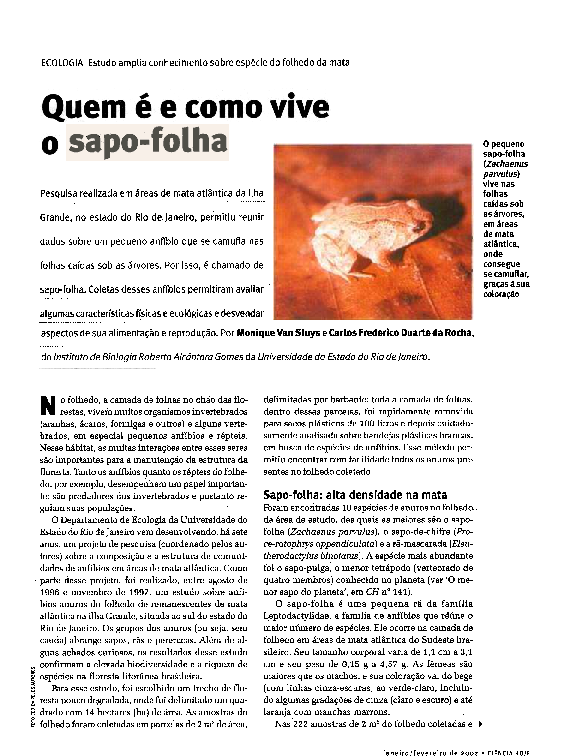 Synthesis essay example picture