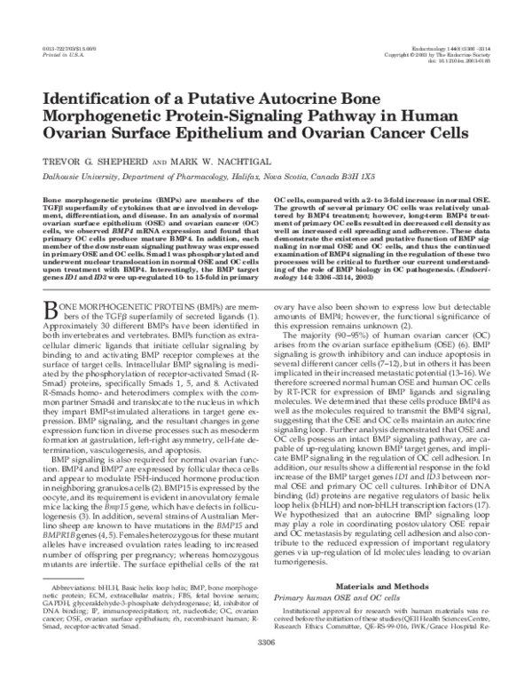 (PDF) Identification of a Putative Autocrine Bone Morphogenetic Protein ...