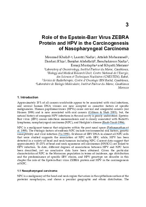 (PDF) Role of the Epstein-Barr Virus ZEBRA Protein and HPV in the ...