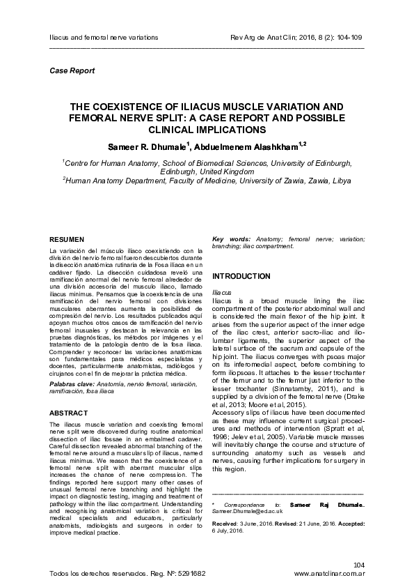 Femoral nerve essay image