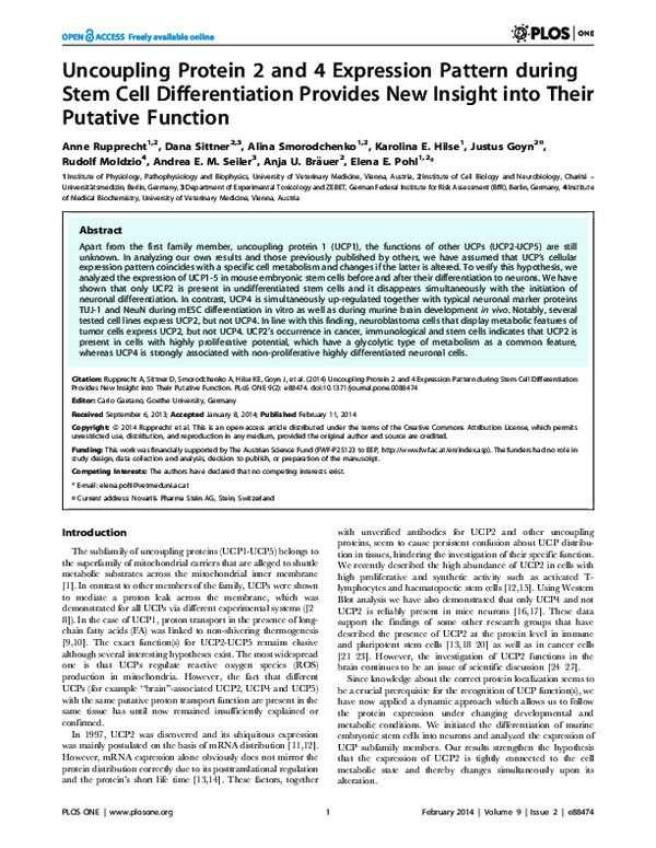 (PDF) Uncoupling Protein 2 and 4 Expression Pattern during Stem Cell ...