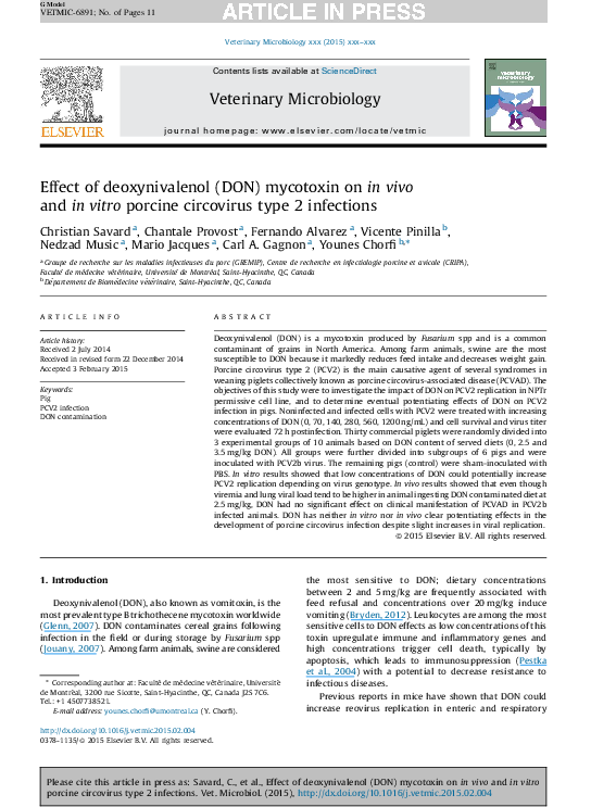 (PDF) Effect of deoxynivalenol (DON) mycotoxin on in vivo and in vitro ...