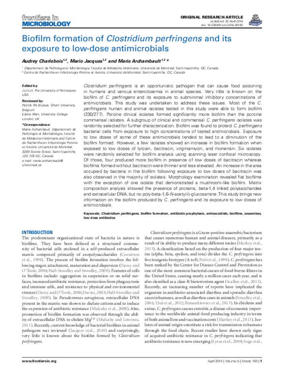Clostridium perfringens treatment antibiotics picture
