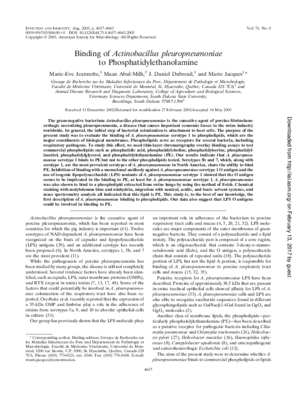 Ul 773 pdf