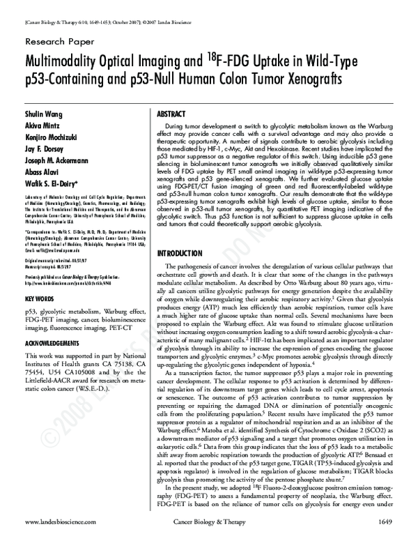 (PDF) Multimodality optical imaging and 18F-FDG uptake in wild-type p53 ...