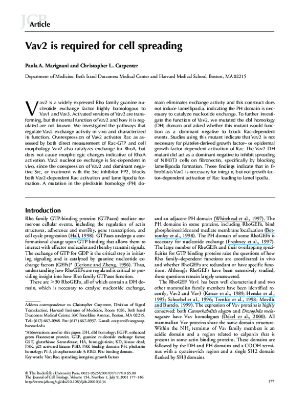 (PDF) Vav2 is required for cell spreading