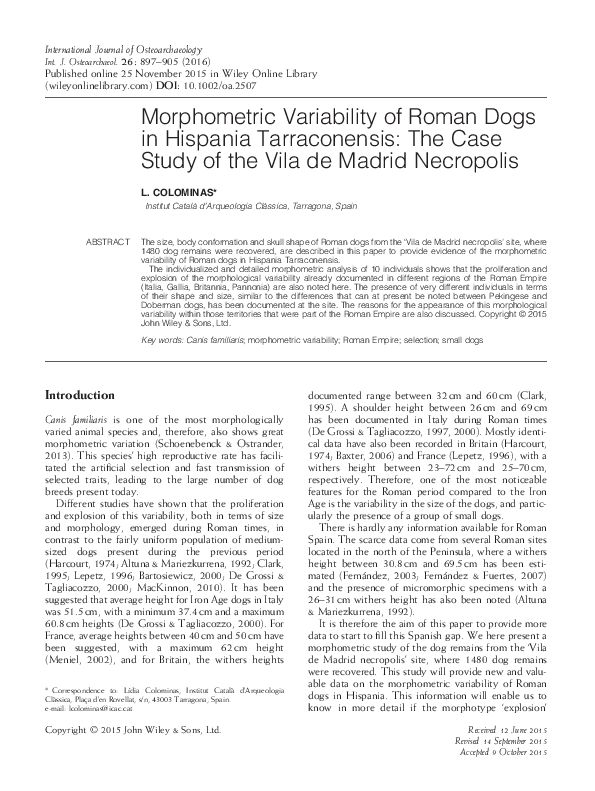 Roman marketing image