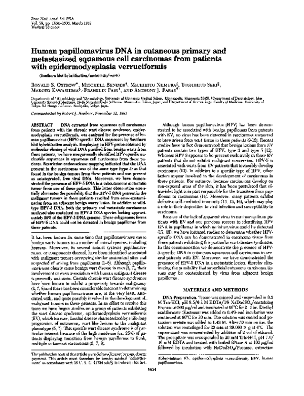 (PDF) Human papillomavirus DNA in cutaneous primary and metastasized ...