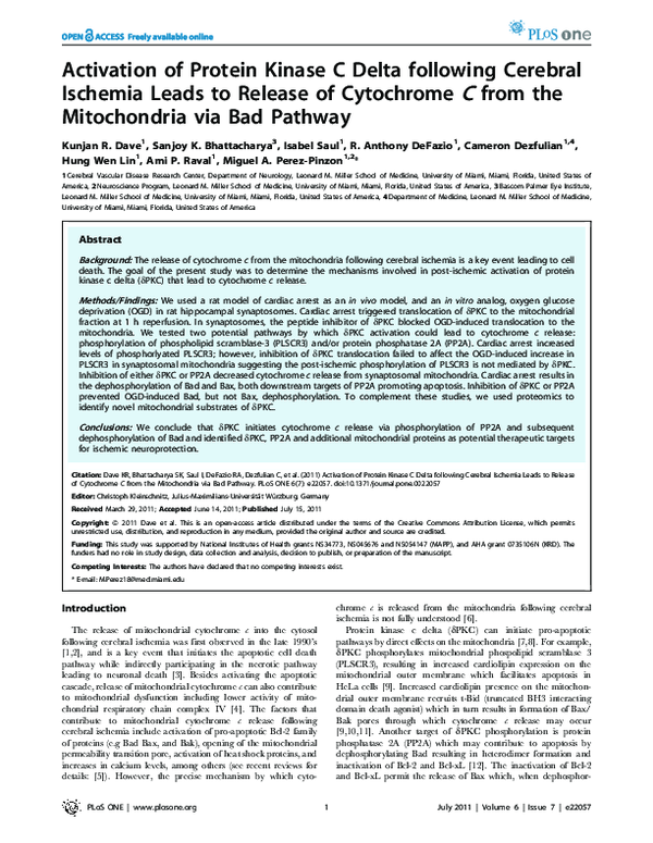 (PDF) Activation of Protein Kinase C Delta following Cerebral Ischemia ...