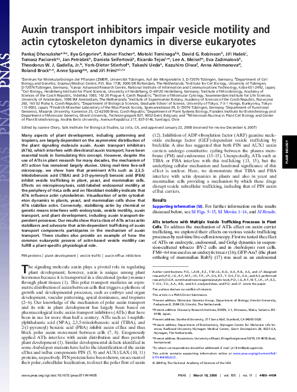 (PDF) Auxin transport inhibitors impair vesicle motility and actin ...