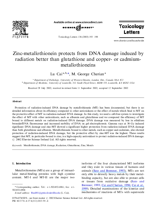 (PDF) Zincmetallothionein protects from DNA damage induced by
