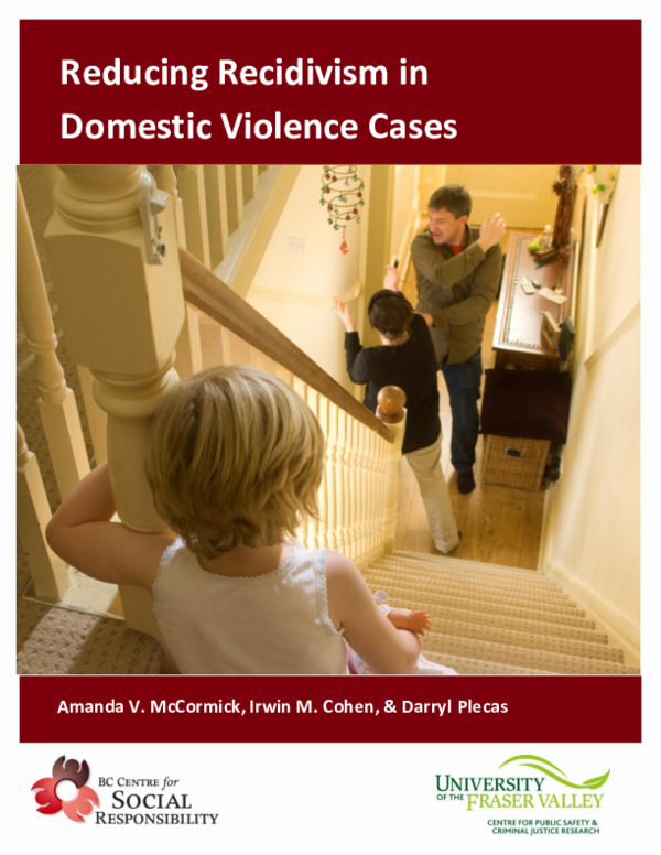 (PDF) Reducing Recidivism in Domestic Violence Cases
