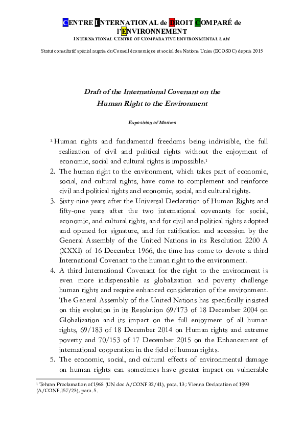 (PDF) Draft of the International Covenant on the Human Right to the ...