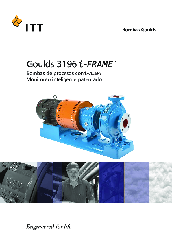 (PDF) Bombas Goulds Goulds 3196 Bombas de procesos con Monitoreo