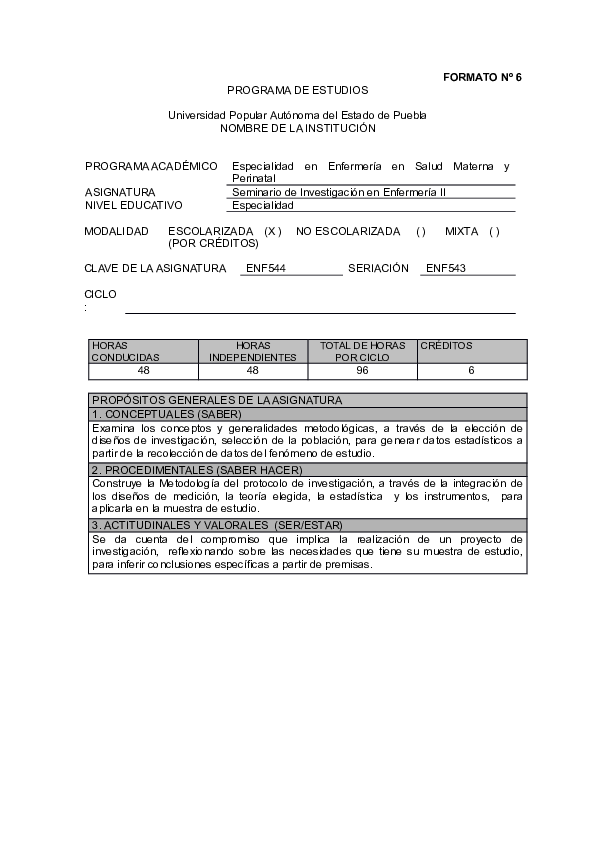 (DOC) FORMATO Nº 6 PROGRAMA DE ESTUDIOS