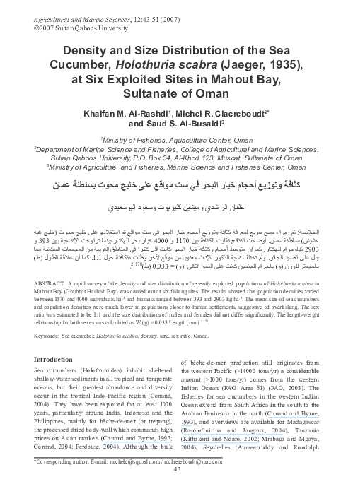 Where do sea cucumbers live picture