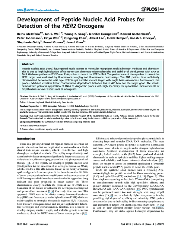 (PDF) Development of Peptide Nucleic Acid Probes for Detection of the ...