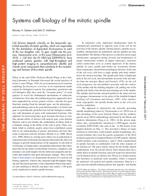 (PDF) Systems cell biology of the mitotic spindle