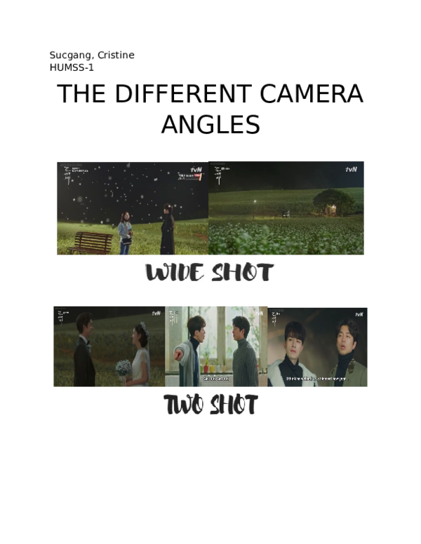 (DOC) THE DIFFERENT CAMERA ANGLES Cristine Lavigne Academia.edu
