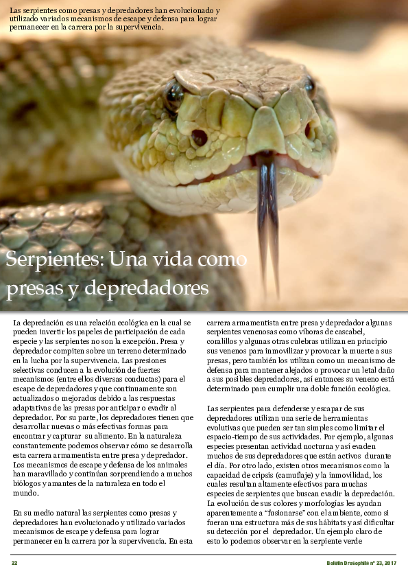 Pdf Serpientes Una Vida Como Presas Y Depredadores Ernesto Raya Garcia Academia Edu