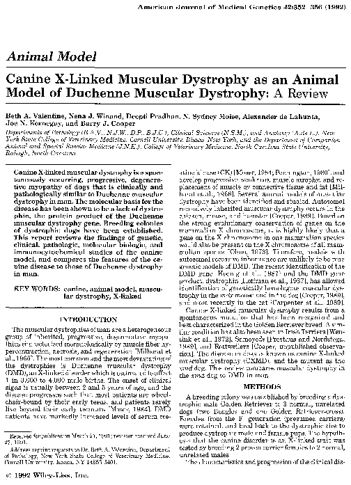 (PDF) Canine X-linked muscular dystrophy as an animal model of Duchenne ...