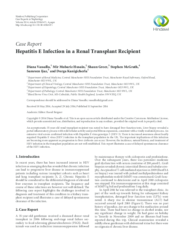 Hepatitis e essay image