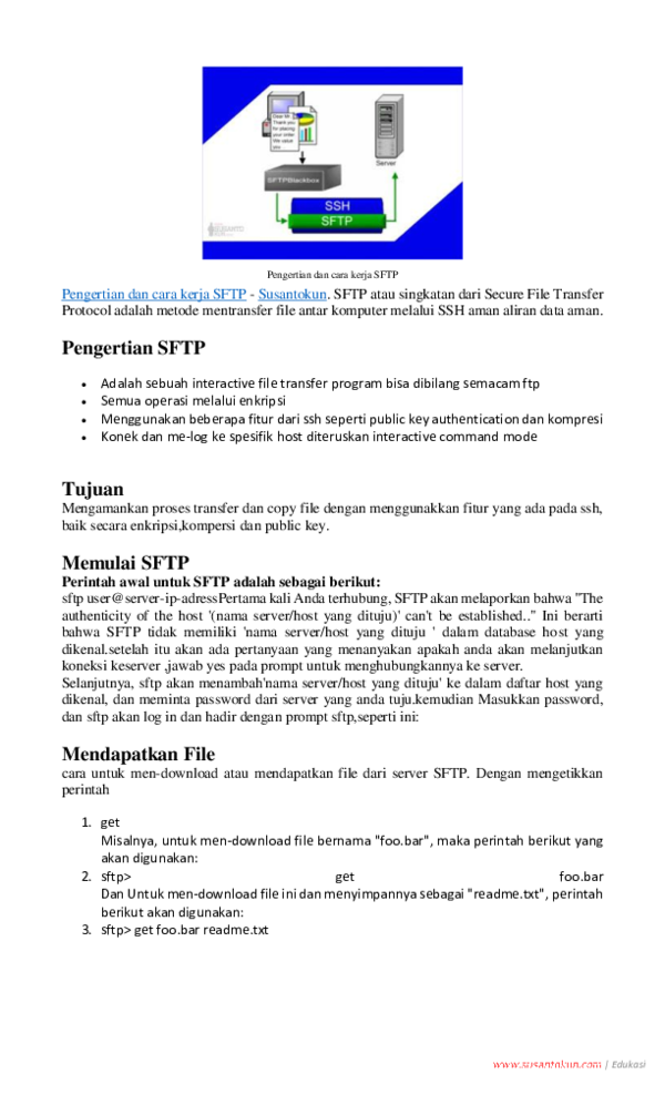 File Transfer Protocol Pdf