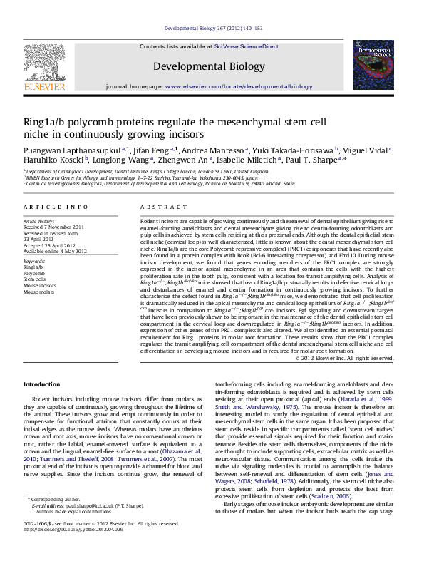 (PDF) Ring1a/b polycomb proteins regulate the mesenchymal stem cell ...
