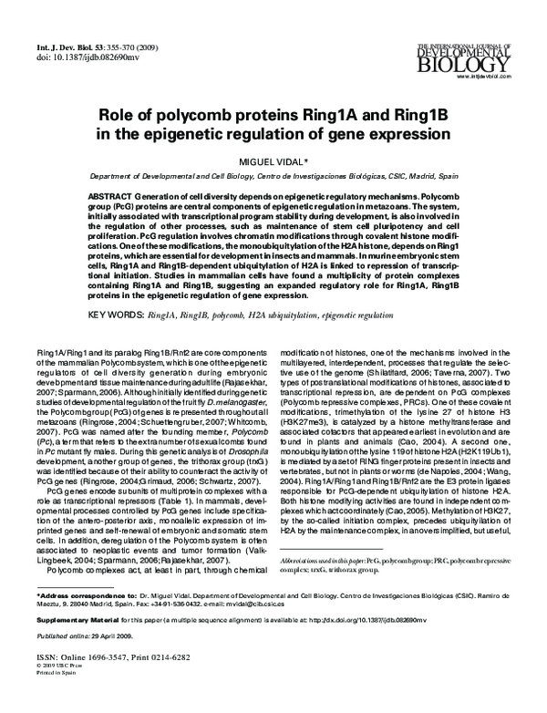 (PDF) Role of polycomb proteins Ring1A and Ring1Bin the epigenetic ...