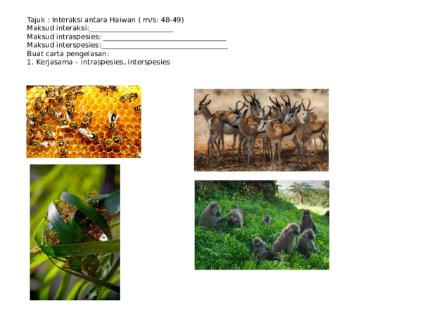 Ppt Year6 Pptx Beyonce Ting Academia Edu
