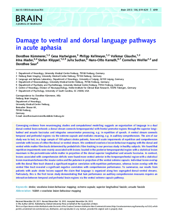 (PDF) Damage to ventral and dorsal language pathways in acute aphasia
