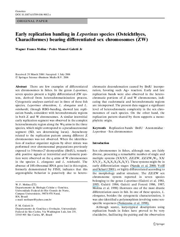 (PDF) Early replication banding in Leporinus species (Osteichthyes ...