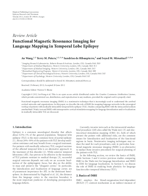 Temporal lobe essay picture