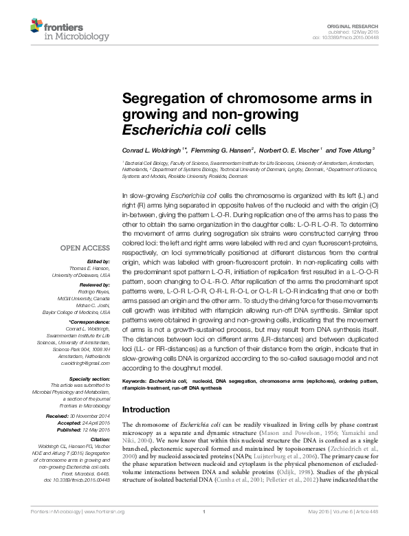 (PDF) Segregation of chromosome arms in growing and non-growing ...