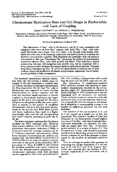 (PDF) Chromosome replication rate and cell shape in Escherichia coli ...