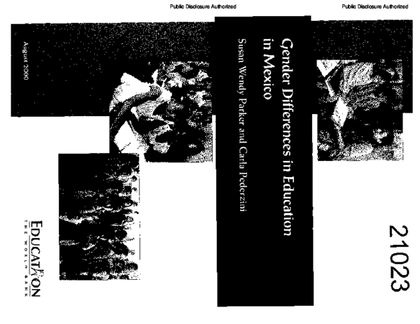 Pdf Gender Differences In Education In Mexico Carla Pederzini