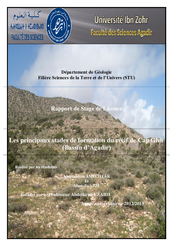 (PDF) Rapport de Stage de Licence Les principaux stades de formation du ...
