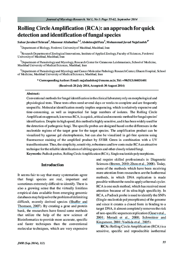 (PDF) Rolling Circle Amplification (RCA): an approach for quick ...
