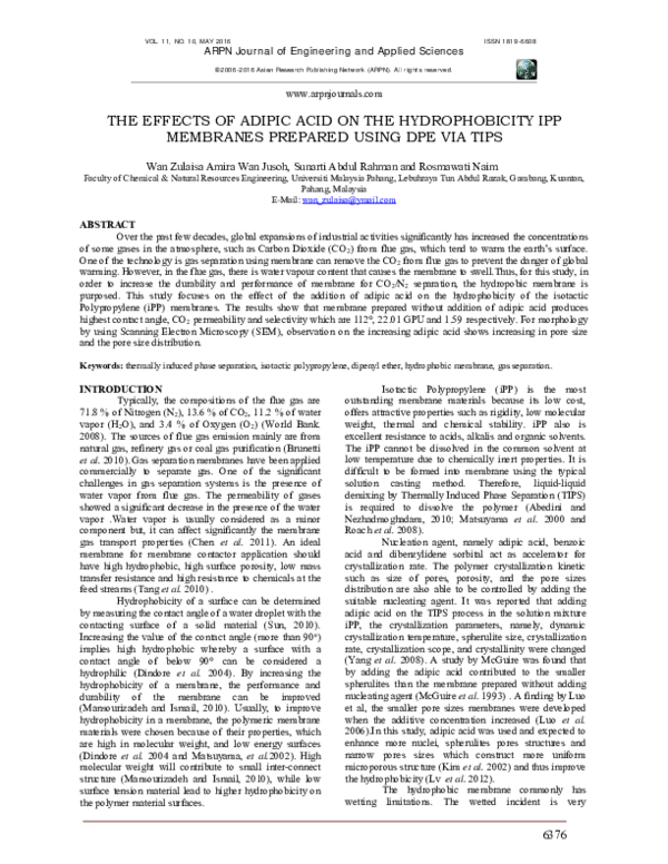 Adipic acid essay 07 image