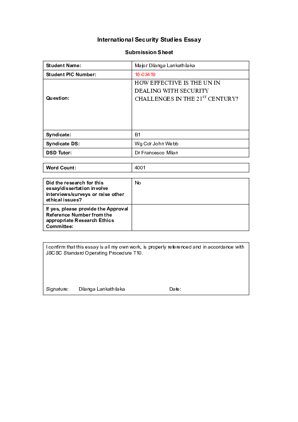 International security review essay image